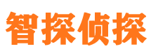 川汇侦探取证